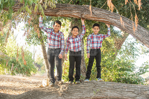 Family photo session, maternity, engagements,  at Bosque del Rio