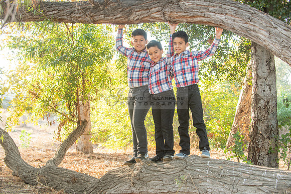 Family photo session, maternity, engagements,  at Bosque del Rio