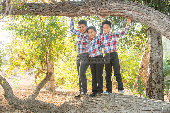 Family photo session, maternity, engagements,  at Bosque del Rio