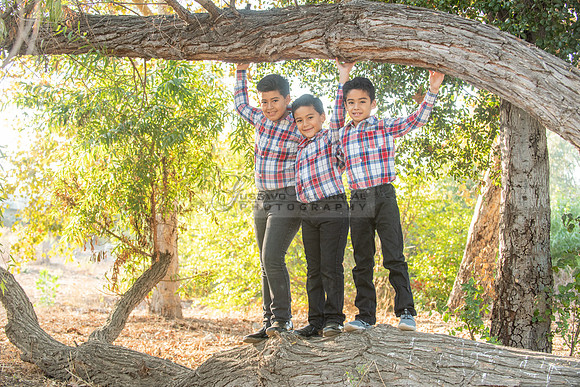 Family photo session, maternity, engagements,  at Bosque del Rio