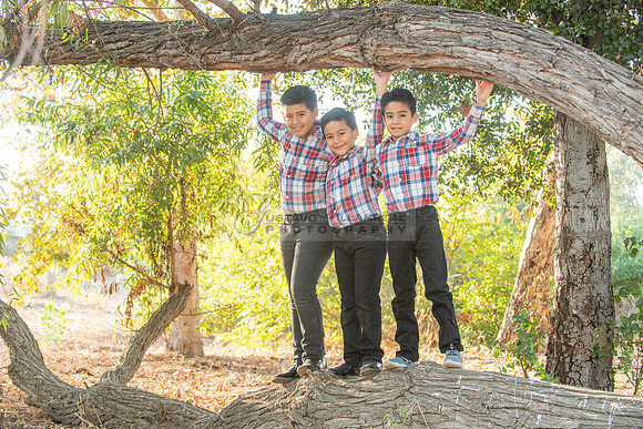 Family photo session, maternity, engagements,  at Bosque del Rio