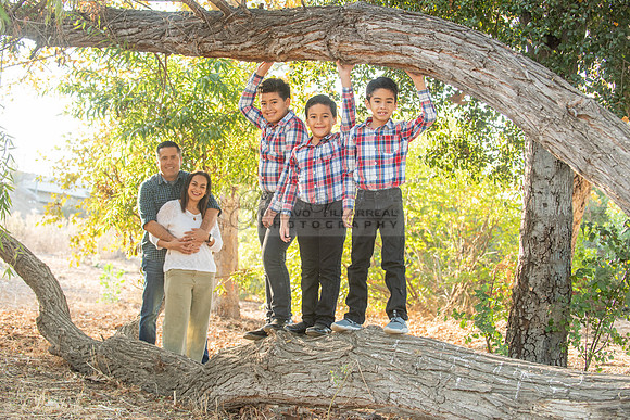 Family photo session, maternity, engagements,  at Bosque del Rio