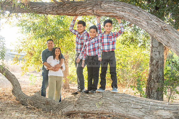 Family photo session, maternity, engagements,  at Bosque del Rio
