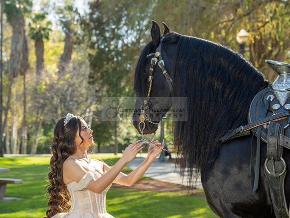 Quinceanera photoshoot at Rose Garden in Riverside Ca. Sesion de fotos en caballos, Gustavo Villarreal Photography, 323-633-8283