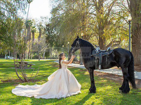 Quinceanera photoshoot at Rose Garden in Riverside Ca. Sesion de fotos en caballos, Gustavo Villarreal Photography, 323-633-8283