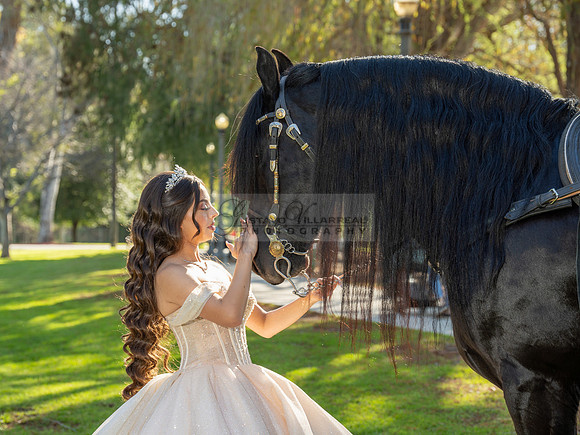 Quinceanera photoshoot at Rose Garden in Riverside Ca. Sesion de fotos en caballos, Gustavo Villarreal Photography, 323-633-8283