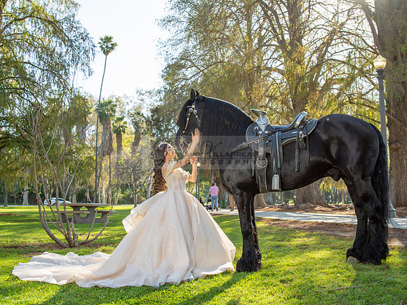 Quinceanera photoshoot at Rose Garden in Riverside Ca. Sesion de fotos en caballos, Gustavo Villarreal Photography, 323-633-8283