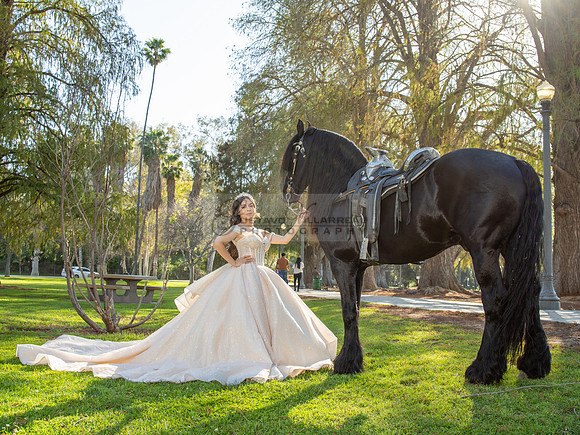 Quinceanera photoshoot at Rose Garden in Riverside Ca. Sesion de fotos en caballos, Gustavo Villarreal Photography, 323-633-8283