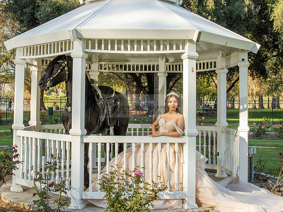 Quinceanera photoshoot at Rose Garden in Riverside Ca. Sesion de fotos en caballos, Gustavo Villarreal Photography, 323-633-8283