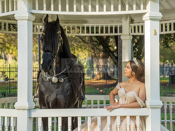 Quinceanera photoshoot at Rose Garden in Riverside Ca. Sesion de fotos en caballos, Gustavo Villarreal Photography, 323-633-8283