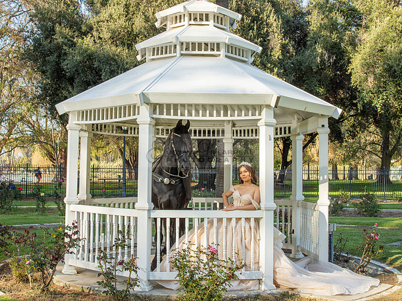 Quinceanera photoshoot at Rose Garden in Riverside Ca. Sesion de fotos en caballos, Gustavo Villarreal Photography, 323-633-8283