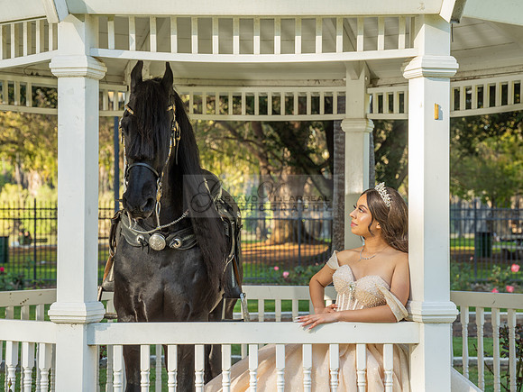 Quinceanera photoshoot at Rose Garden in Riverside Ca. Sesion de fotos en caballos, Gustavo Villarreal Photography, 323-633-8283