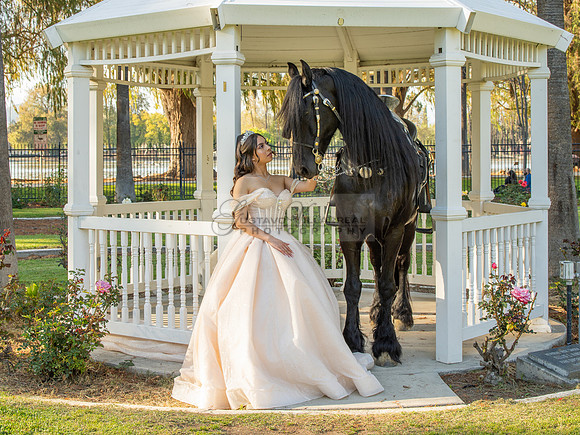 Quinceanera photoshoot at Rose Garden in Riverside Ca. Sesion de fotos en caballos, Gustavo Villarreal Photography, 323-633-8283