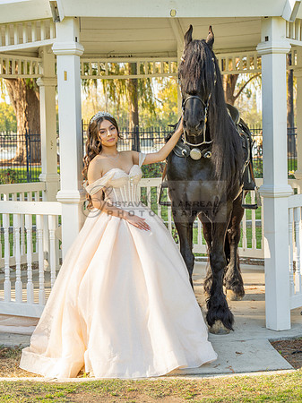 Quinceanera photoshoot at Rose Garden in Riverside Ca. Sesion de fotos en caballos, Gustavo Villarreal Photography, 323-633-8283