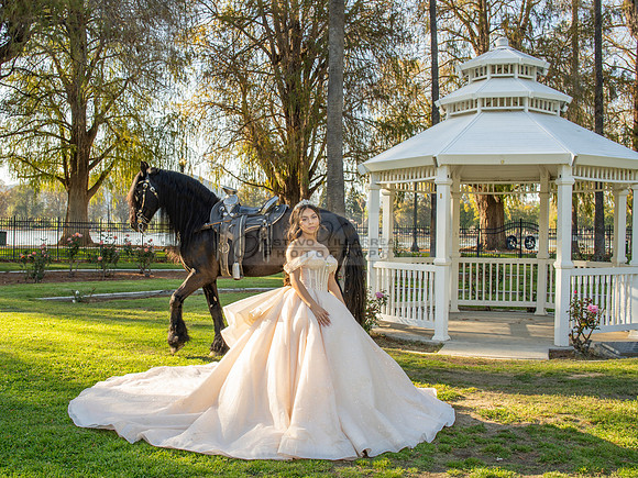 Quinceanera photoshoot at Rose Garden in Riverside Ca. Sesion de fotos en caballos, Gustavo Villarreal Photography, 323-633-8283