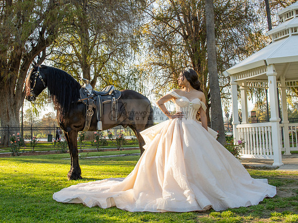 Quinceanera photoshoot at Rose Garden in Riverside Ca. Sesion de fotos en caballos, Gustavo Villarreal Photography, 323-633-8283