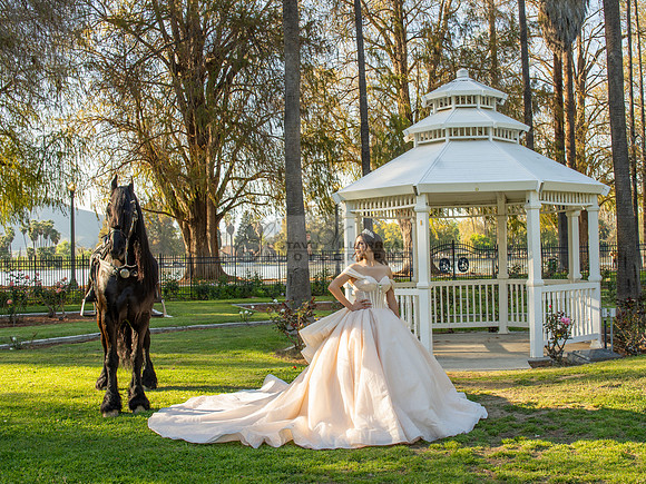 Quinceanera photoshoot at Rose Garden in Riverside Ca. Sesion de fotos en caballos, Gustavo Villarreal Photography, 323-633-8283