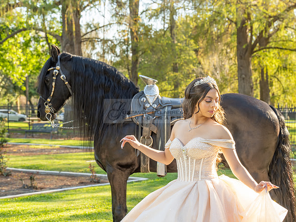Quinceanera photoshoot at Rose Garden in Riverside Ca. Sesion de fotos en caballos, Gustavo Villarreal Photography, 323-633-8283