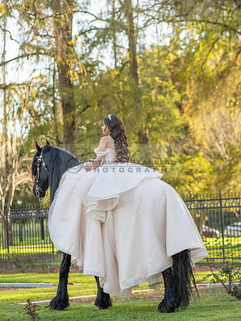 Quinceanera photoshoot at Rose Garden in Riverside Ca. Sesion de fotos en caballos, Gustavo Villarreal Photography, 323-633-8283