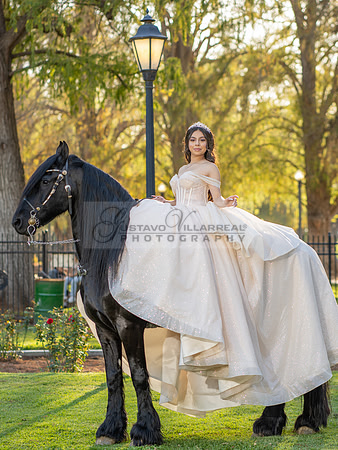 Quinceanera photoshoot at Rose Garden in Riverside Ca. Sesion de fotos en caballos, Gustavo Villarreal Photography, 323-633-8283