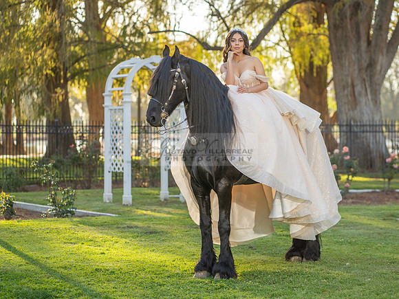Quinceanera photoshoot at Rose Garden in Riverside Ca. Sesion de fotos en caballos, Gustavo Villarreal Photography, 323-633-8283