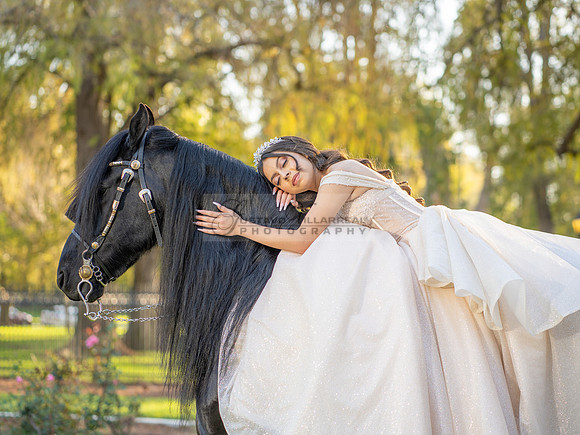 Quinceanera photoshoot at Rose Garden in Riverside Ca. Sesion de fotos en caballos, Gustavo Villarreal Photography, 323-633-8283