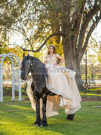 Quinceanera photoshoot at Rose Garden in Riverside Ca. Sesion de fotos en caballos, Gustavo Villarreal Photography, 323-633-8283