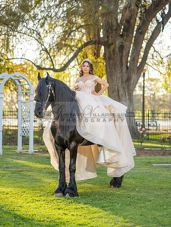 Quinceanera photoshoot at Rose Garden in Riverside Ca. Sesion de fotos en caballos, Gustavo Villarreal Photography, 323-633-8283