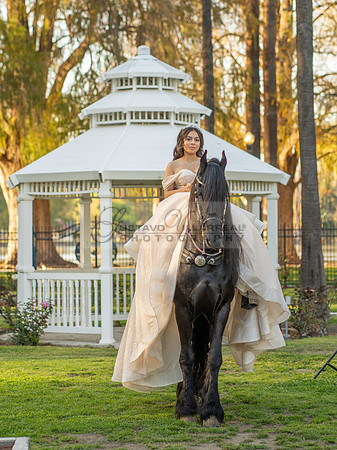 Quinceanera photoshoot at Rose Garden in Riverside Ca. Sesion de fotos en caballos, Gustavo Villarreal Photography, 323-633-8283