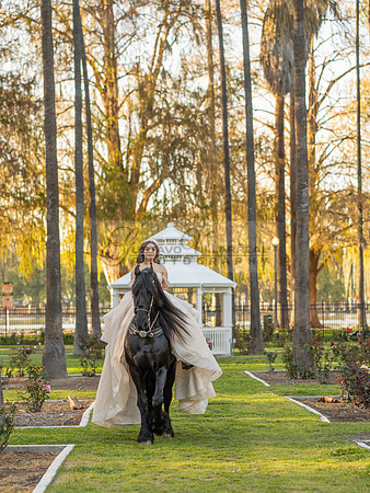 Quinceanera photoshoot at Rose Garden in Riverside Ca. Sesion de fotos en caballos, Gustavo Villarreal Photography, 323-633-8283