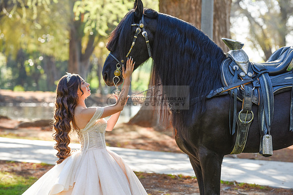 Quinceanera photoshoot at Rose Garden in Riverside Ca. Sesion de fotos en caballos, Gustavo Villarreal Photography, 323-633-8283
