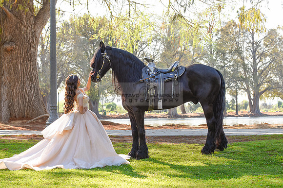 Quinceanera photoshoot at Rose Garden in Riverside Ca. Sesion de fotos en caballos, Gustavo Villarreal Photography, 323-633-8283