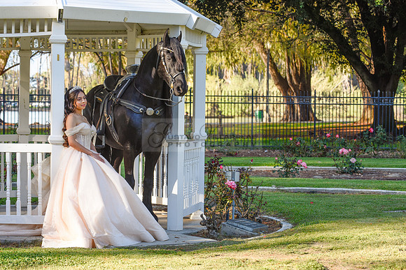 Quinceanera photoshoot at Rose Garden in Riverside Ca. Sesion de fotos en caballos, Gustavo Villarreal Photography, 323-633-8283