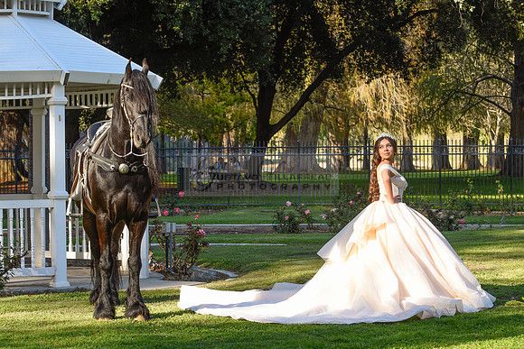 Quinceanera photoshoot at Rose Garden in Riverside Ca. Sesion de fotos en caballos, Gustavo Villarreal Photography, 323-633-8283