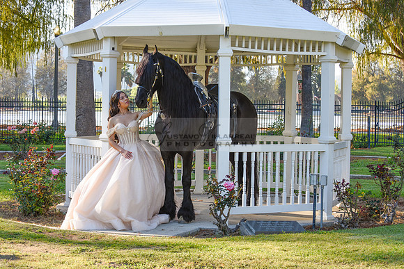 Quinceanera photoshoot at Rose Garden in Riverside Ca. Sesion de fotos en caballos, Gustavo Villarreal Photography, 323-633-8283
