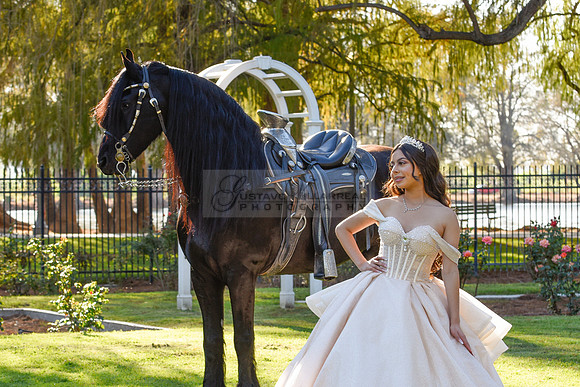 Quinceanera photoshoot at Rose Garden in Riverside Ca. Sesion de fotos en caballos, Gustavo Villarreal Photography, 323-633-8283