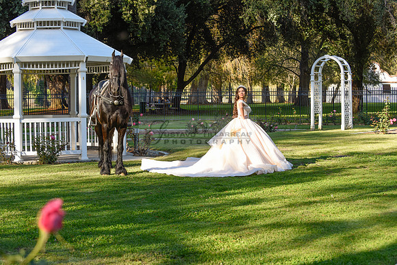 Quinceanera photoshoot at Rose Garden in Riverside Ca. Sesion de fotos en caballos, Gustavo Villarreal Photography, 323-633-8283