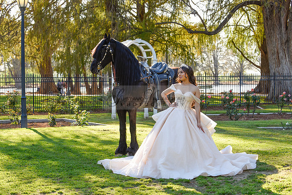 Quinceanera photoshoot at Rose Garden in Riverside Ca. Sesion de fotos en caballos, Gustavo Villarreal Photography, 323-633-8283