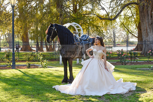Quinceanera photoshoot at Rose Garden in Riverside Ca. Sesion de fotos en caballos, Gustavo Villarreal Photography, 323-633-8283