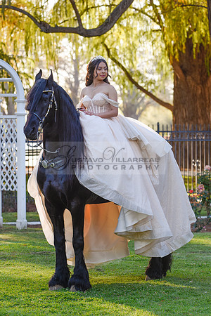 Quinceanera photoshoot at Rose Garden in Riverside Ca. Sesion de fotos en caballos, Gustavo Villarreal Photography, 323-633-8283