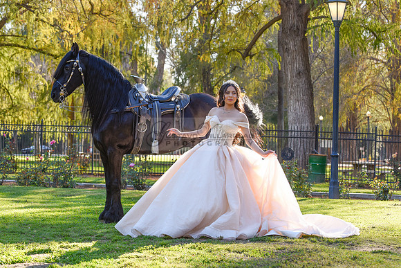 Quinceanera photoshoot at Rose Garden in Riverside Ca. Sesion de fotos en caballos, Gustavo Villarreal Photography, 323-633-8283