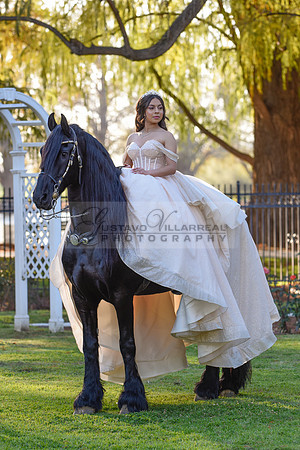 Quinceanera photoshoot at Rose Garden in Riverside Ca. Sesion de fotos en caballos, Gustavo Villarreal Photography, 323-633-8283