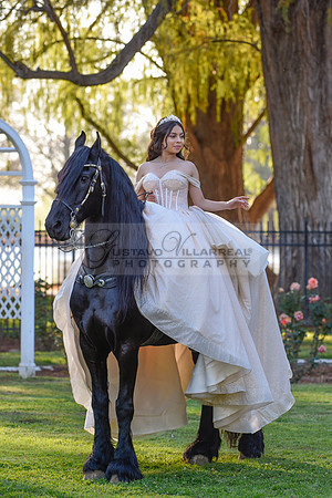 Quinceanera photoshoot at Rose Garden in Riverside Ca. Sesion de fotos en caballos, Gustavo Villarreal Photography, 323-633-8283