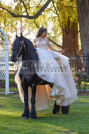 Quinceanera photoshoot at Rose Garden in Riverside Ca. Sesion de fotos en caballos, Gustavo Villarreal Photography, 323-633-8283