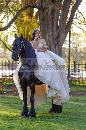 Quinceanera photoshoot at Rose Garden in Riverside Ca. Sesion de fotos en caballos, Gustavo Villarreal Photography, 323-633-8283