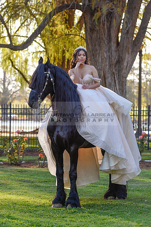 Quinceanera photoshoot at Rose Garden in Riverside Ca. Sesion de fotos en caballos, Gustavo Villarreal Photography, 323-633-8283