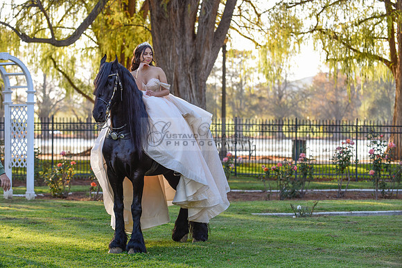 Quinceanera photoshoot at Rose Garden in Riverside Ca. Sesion de fotos en caballos, Gustavo Villarreal Photography, 323-633-8283
