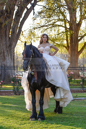 Quinceanera photoshoot at Rose Garden in Riverside Ca. Sesion de fotos en caballos, Gustavo Villarreal Photography, 323-633-8283