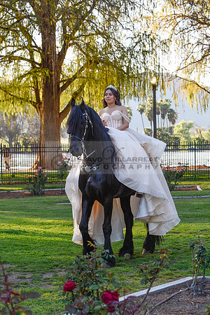 Quinceanera photoshoot at Rose Garden in Riverside Ca. Sesion de fotos en caballos, Gustavo Villarreal Photography, 323-633-8283