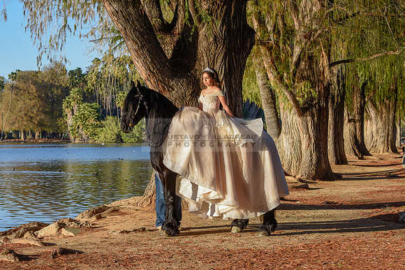 Quinceanera photoshoot at Rose Garden in Riverside Ca. Sesion de fotos en caballos, Gustavo Villarreal Photography, 323-633-8283